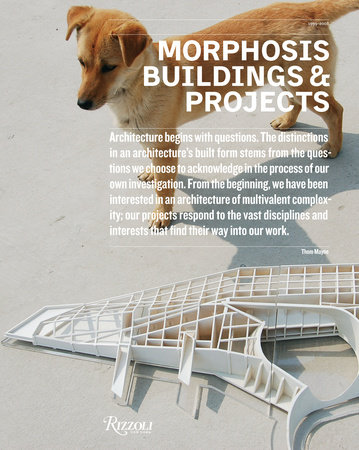 книга Morphosis 5: Buildings and Projects, автор: Thom Mayne