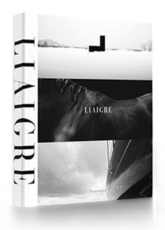 книга Liaigre: Twelve Projects, автор: Christian Liaigre