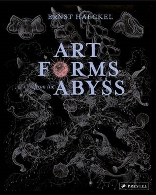 книга Art Forms from the Abyss: Ernst Haeckel's Images from the HMS Challenger Expedition, автор: Peter J. le B. Williams, Dylan W. Evans, David J. Roberts, David N. Thomas, Martin Kemp