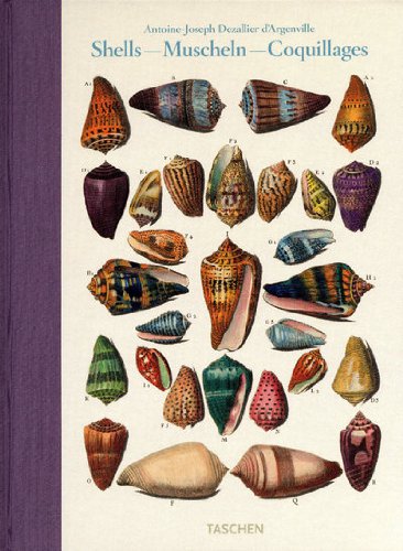 книга Dezallier d'Argenville, Shells, автор: Veronica Carpita, Rainer Willmann, Sophia Willmann