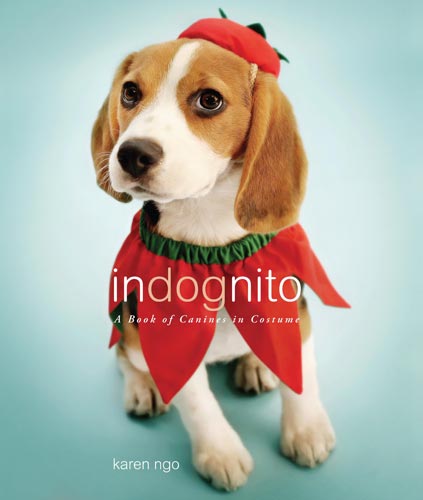 книга Indognito: A Book of Canines in Costume, автор: Karen Ngo