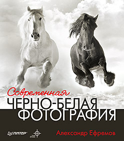 книга Сучасна чорно-біла фотографія, автор: Ефремов А. А.