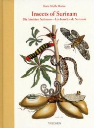 Insects of Surinam, автор: Maria Sybilla Merian, Katharina Schmidt-Loske