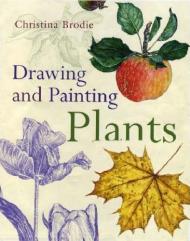 Drawing and Painting Plants Christina Brodie