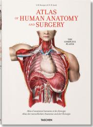 Bourgery. Atlas of Human Anatomy and Surgery Jean-Marie Le Minor, Henri Sick