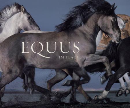 книга Equus (Mini), автор: Tim Flach, Corita Kent