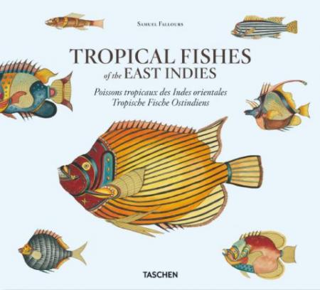 книга Samuel Fallours: Tropical Fishes of the East Indies, автор: Theodore W. Pietsch