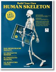 Build Your Own Human Skeleton – Life Size!, автор: 