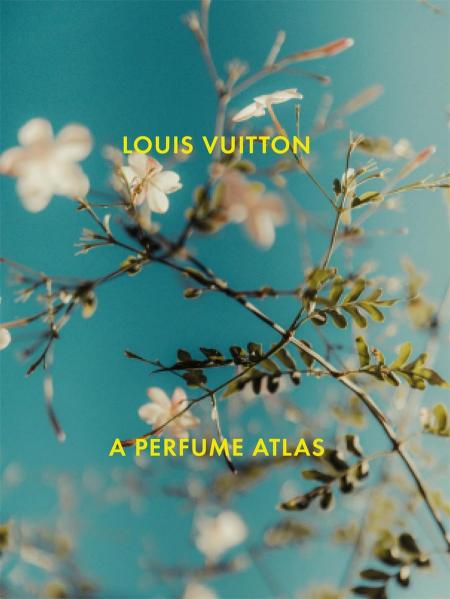 книга Louis Vuitton: A Perfume Atlas, автор: Jacques Cavallier-Belletrud, Lionel Paillès, Aurore de la Morinerie