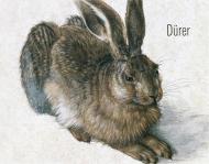 Dürer (Posters) 