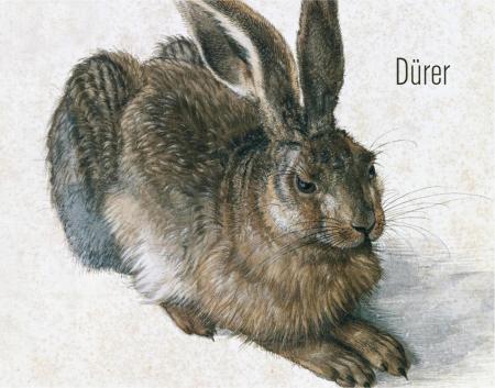 книга Dürer (Posters), автор: 