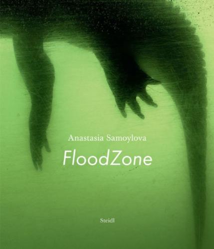 книга Anastasia Samoylova: FloodZone, автор: Anastasia Samoylova