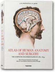 Atlas of Human Anatomy and Surgery, автор: Jean-Marie Le Minor, Henri Sick