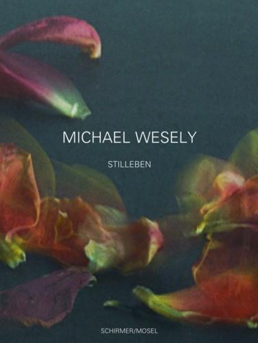 книга Stilleben 2001-2007, автор: Michael Wesely