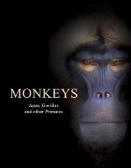 Monkeys: Apes, Gorillas and other PrimatesAmber Monkeys: Apes, Gorillas and other Primates Tom Jackson