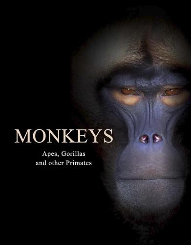обложка книги Monkeys: Apes, Gorillas and other Primates книга Monkeys: Apes, Gorillas and other Primates, автор: Tom Jackson