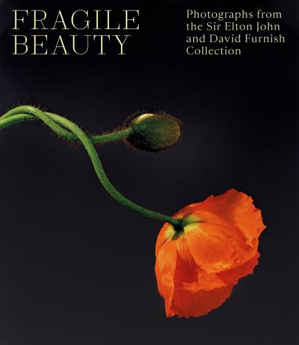 книга Fragile Beauty: Photographs from the Sir Elton John and David Furnish Collection - The Official V&A Exhibition Book, автор: Lydia Caston, Forbes Duncan, Harbin Newell