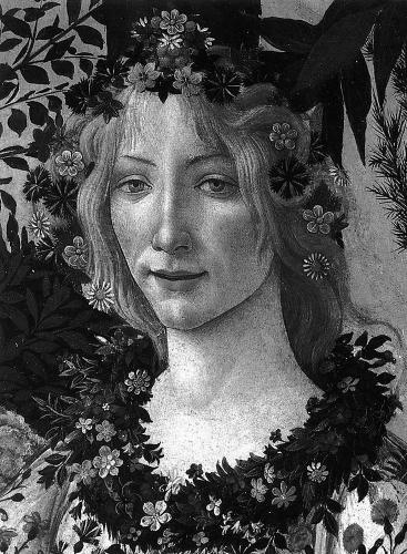 книга Botticelli, автор: Lionello Venturi