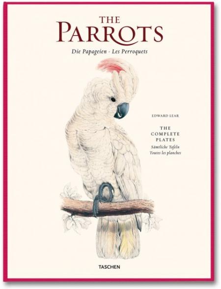 книга Edward Lear, The Parrots, автор: Francesco Solinas, Solphia Willmann