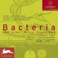 Bacteria and Other Micro Organisms (Agile Rabbit Editions), автор: Cecile Maslakian