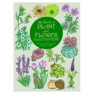 Big Book of Plant and Flower Illustrations Maggie Kate (Editor)