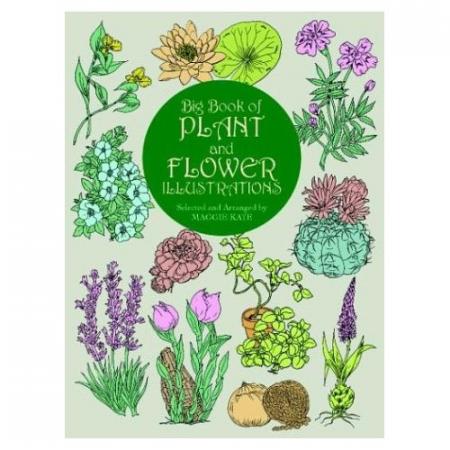 книга Big Book of Plant and Flower Illustrations, автор: Maggie Kate (Editor)