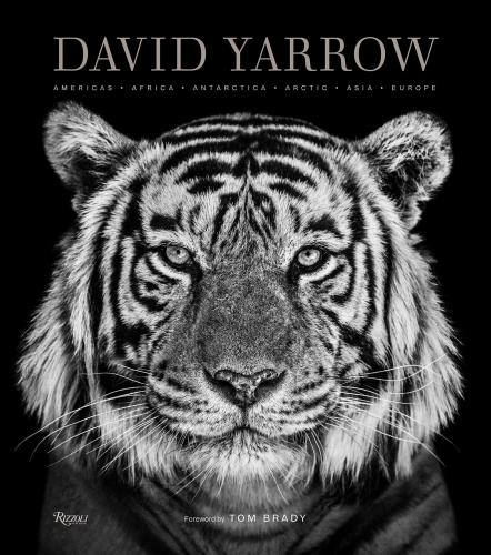 книга David Yarrow Фото: Americas Africa Antarctica Arctic Asia Europe, автор: David Yarrow, Foreword by Tom Brady