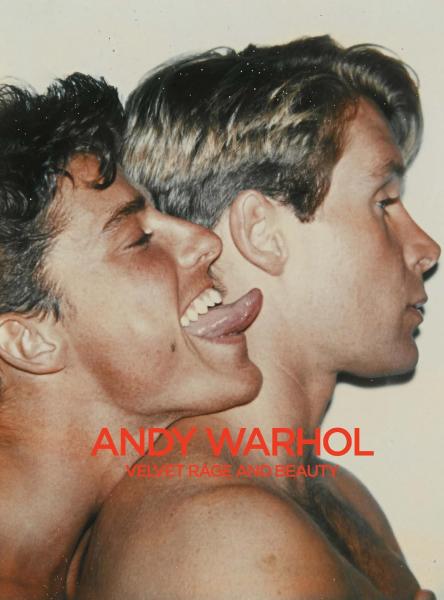 книга Andy Warhol: Velvet Rage and Beauty, автор: Klaus Biesenbach