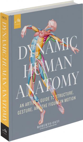 книга Dynamic Human Anatomy: An Artist's Guide to Structure, Gesture, and the Figure in Motion, автор: Roberto Osti