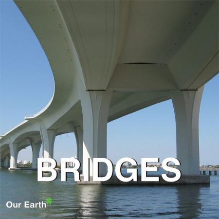 книга Bridges (Our Earth Collection), автор: 