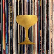 Booze & Vinyl: A Spirited Guide to Great Music and Mixed Drinks André Darlington, Tenaya Darlington
