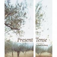 Present Tense: Photographs by JoAnn Verburg Susan Kismaric, Glenn D. Lowry