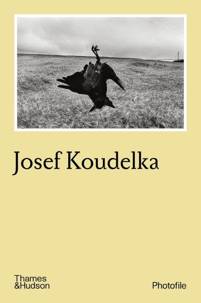 книга Josef Koudelka, автор: Bernard Cuau