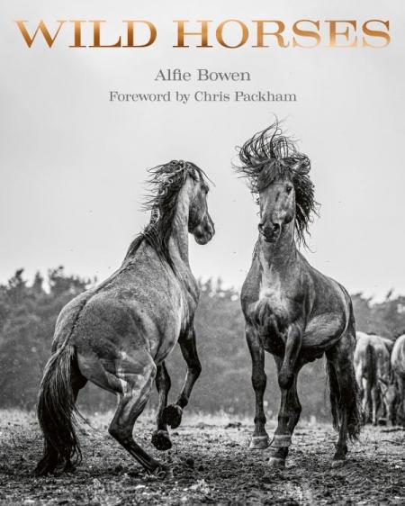 книга Wild Horses: Alfie Bowen, автор:  Alfie Bowen