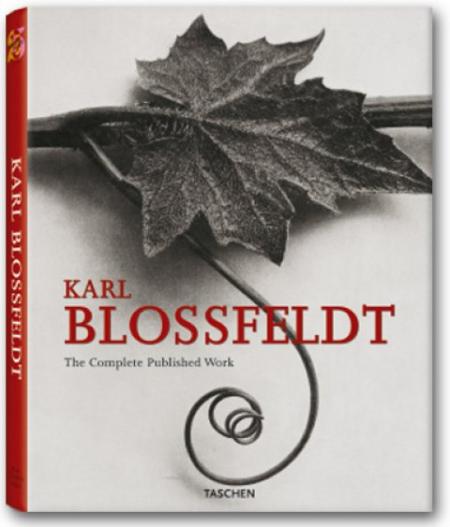 книга Karl Blossfeldt. The Complete Published Work, автор: Hans-Christian Adam