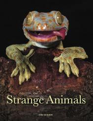 Strange AnimalsAmber Strange Animals Tom Jackson
