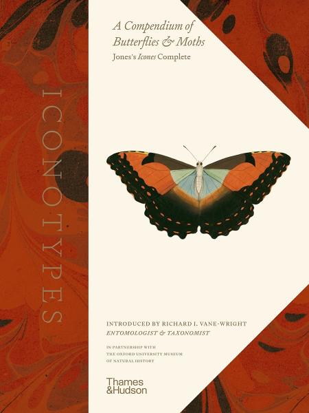 книга Iconotypes: A Compendium of Butterflies and Moths. Jones's Icones Complete, автор: Richard I. Vane-Wright