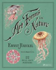 Ernst Haeckel: Art Forms in Nature: 22 Pull-Out Posters , автор: Ernst Haeckel, Kira Uthoff 