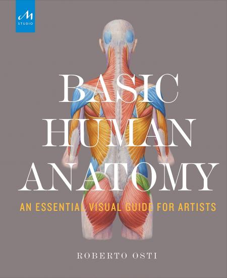 книга Basic Human Anatomy: An Essential Visual Guide for Artists, автор: Roberto Osti