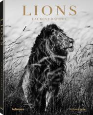 Lions Laurent Baheux