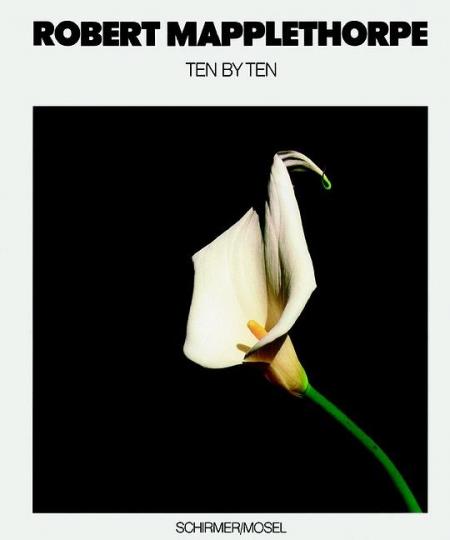 книга Ten by Ten, автор: Robert Mapplethorpe