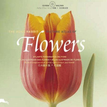 книга Flowers (The Agile Rabbit Picture Atlas of Flowers), автор: 