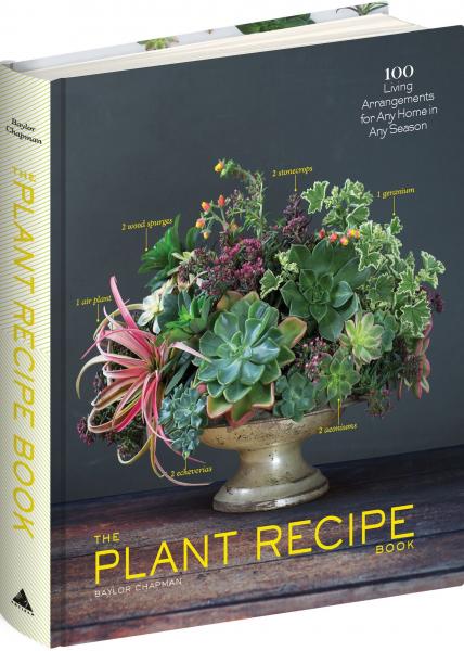 книга The Plant Recipe Book: 100 Living Centerpieces для будь-якого дому в будь-якому сезоні, автор: Baylor Chapman