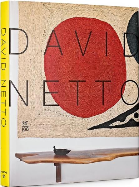 книга David Netto, автор: David Netto, Mita Bland 
