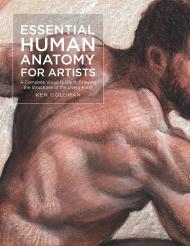 Essential Human Anatomy for Artists: A Complete Visual Guide to Drawing the Structures of the Living Form Ken Goldman
