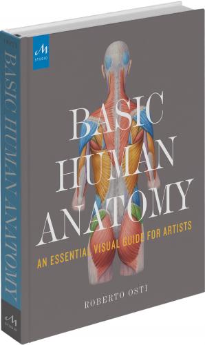 обложка книги Basic Human Anatomy: An Essential Visual Guide for Artists книга Basic Human Anatomy: An Essential Visual Guide for Artists, автор: Roberto Osti