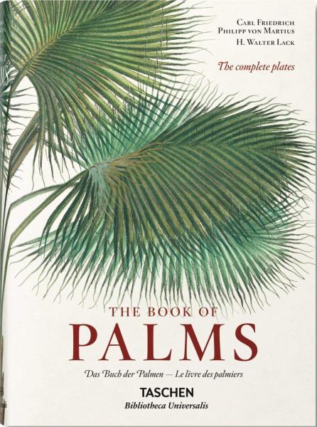 книга The Book of Palms, автор: H. Walter Lack