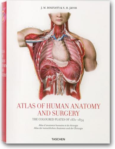книга Atlas of Anatomy (Taschen 25th Anniversary Series), автор: Jean-Marie Le Minor, Henri Sick