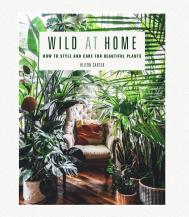Wild at Home: How to Style and Care for Beautiful Plants Hilton Carter
