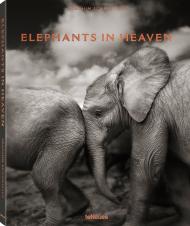 Elephants in Heaven Joachim Schmeisser
